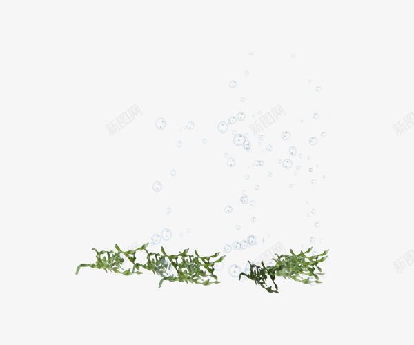 绿色植物透明水滴png免抠素材_88icon https://88icon.com 实物 水滴 绿色植物 透明 透明水滴