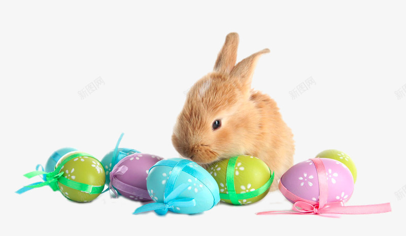 趴在彩蛋上的兔子png免抠素材_88icon https://88icon.com png图片素材 免费png素材 动物 复活节彩蛋 趴在彩蛋上的兔子