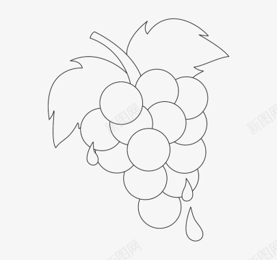简笔画葡萄串水滴可爱葡萄简笔画图标图标