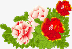 手绘粉红色花朵植物素材
