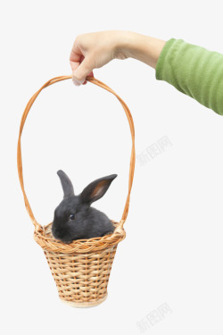 棕色手提着装了兔子的篮子编织物素材