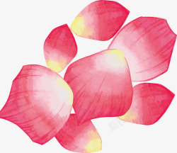 精美水彩粉色的花瓣矢量图素材