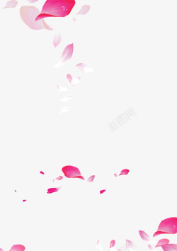 粉红色花瓣淡白色花瓣素材