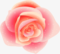 粉红玫瑰花花朵唯美装饰素材