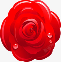 红玫瑰水珠手绘素材