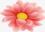 粉红花朵花蕊花瓣素材