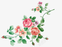 粉红色玫瑰树枝装饰素材