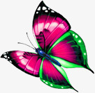 粉色水珠蝴蝶素材