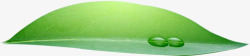 绿色横放带水滴叶子素材