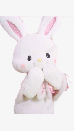纯色可爱兔子玩偶素材