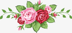 手绘粉红色玫瑰花朵素材