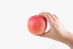 拿着苹果拿着苹果的手高清图片