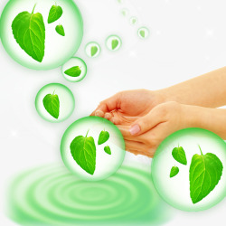 绿色环保水滴叶子素材