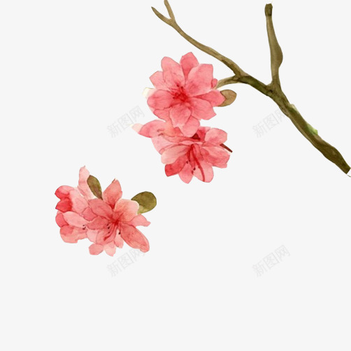 桃花盛开片png免抠素材_88icon https://88icon.com 桃树 桃花 水彩图 粉红色 花香
