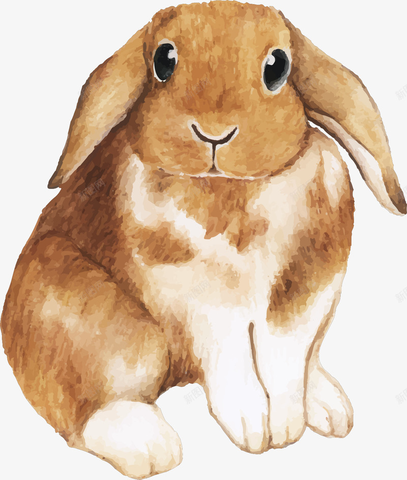 手绘风可爱的兔子矢量图ai免抠素材_88icon https://88icon.com 兔子 可爱兔子 手绘兔子 手绘风 水彩兔子 矢量png 矢量图