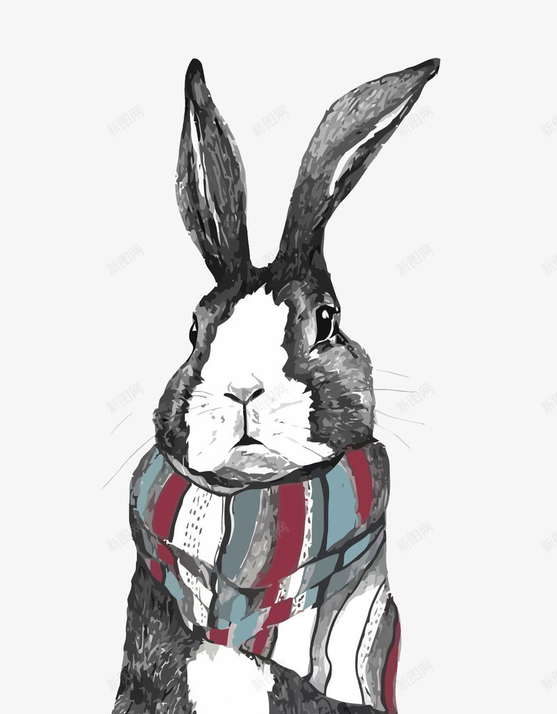 兔子png免抠素材_88icon https://88icon.com 兔子 卡通兔子 可爱兔子 围巾 手绘 矢量兔子