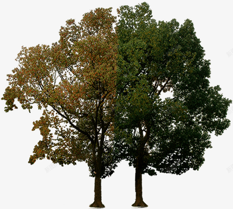 分层大树美景创意景观png免抠素材_88icon https://88icon.com 分层 创意 大树 景观 美景