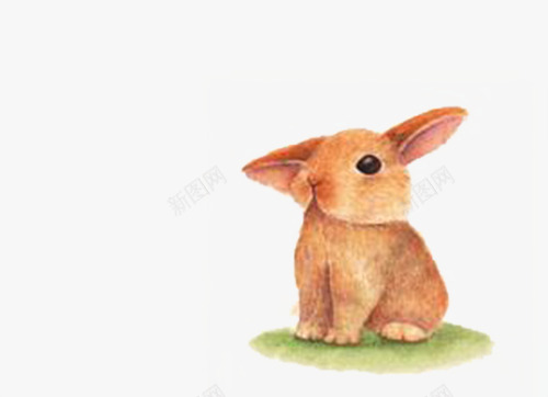 手绘兔子png免抠素材_88icon https://88icon.com 兔子 可爱 手绘 橙色