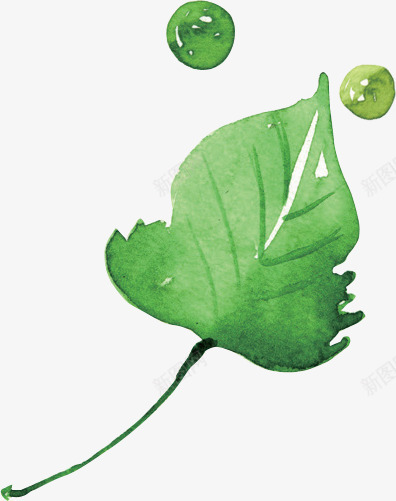 绿色水珠树叶手绘png免抠素材_88icon https://88icon.com 手绘 树叶 水珠 绿色