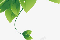 手绘绿色树叶春季水滴素材