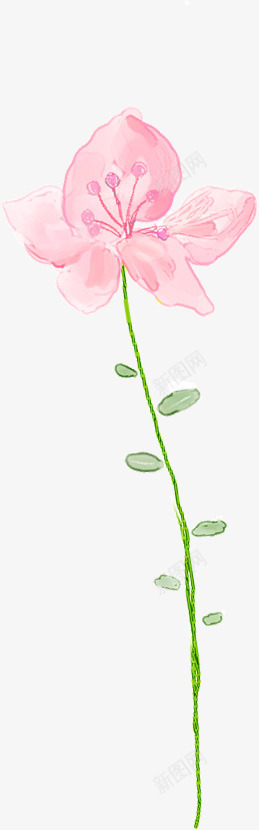 手绘淡彩花卉首页png免抠素材_88icon https://88icon.com 花卉