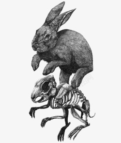 黑白灰骷髅兔子素材