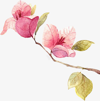 手粉红色花朵绿叶png免抠素材_88icon https://88icon.com 粉红色 绿叶 花朵