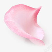 粉红色花朵单朵花瓣素材