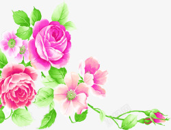 手绘粉红色玫瑰花装饰素材