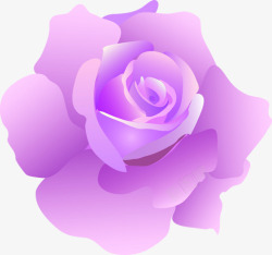 紫色唯美花朵分层花瓣素材