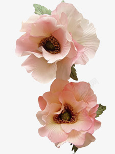 创意合成效果粉红色的花卉素材