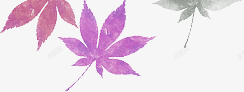 唯美的紫色枫叶png免抠素材_88icon https://88icon.com 枫叶 水粉画 紫色