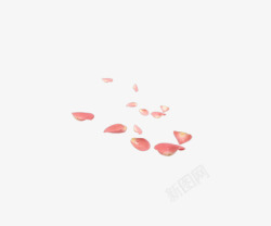 粉红花瓣洒落素材