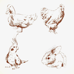 素描鸡鸟和兔子高清图片