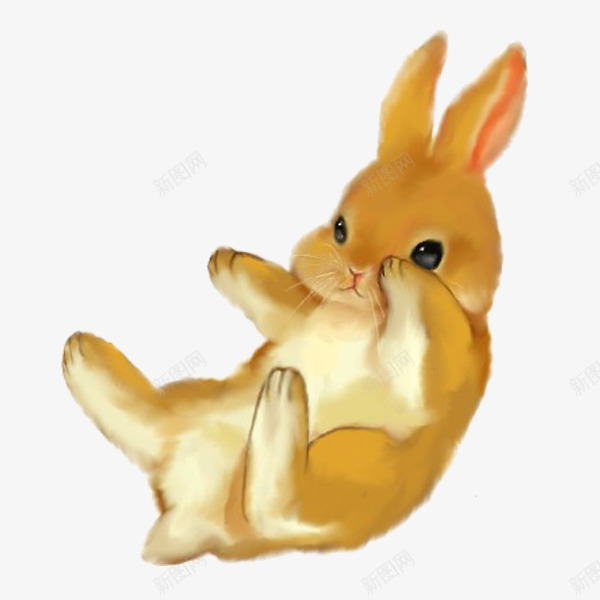 可爱呆萌兔手绘png免抠素材_88icon https://88icon.com 兔子 动物 可爱 图像 图形素材 图片 素材免抠 胡萝卜 装饰 野生动物