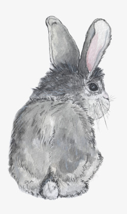 手绘灰色可爱小兔子素材