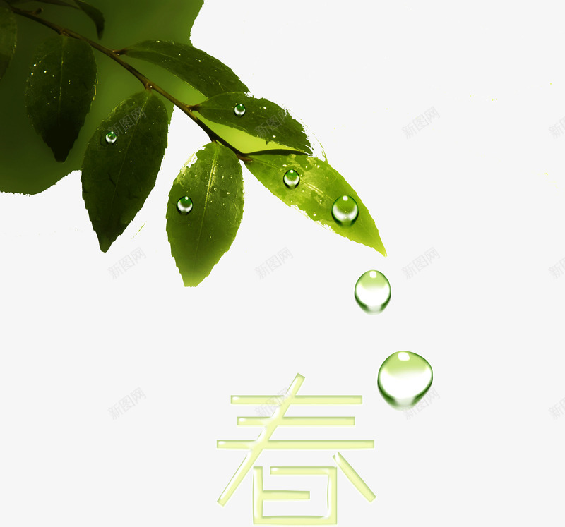 绿叶水滴透明露珠春png免抠素材_88icon https://88icon.com 春 水滴 绿叶 透明 露水小草 露珠