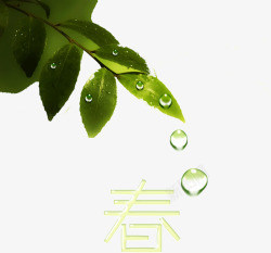 绿叶水滴透明露珠春素材