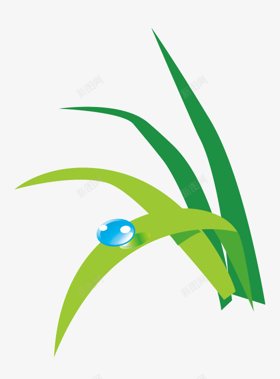 草png免抠素材_88icon https://88icon.com 水珠 绿草 花草 青青草