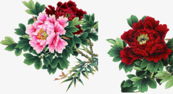 手绘粉红色花朵植物装饰素材