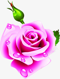 卡通水珠粉色玫瑰花朵素材