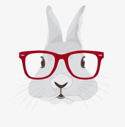 红眼镜戴眼镜的兔子头高清图片