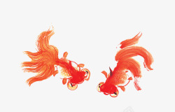 橘色金鱼橘色金鱼高清图片