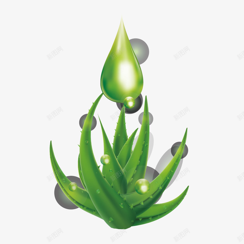 芦荟和水滴png免抠素材_88icon https://88icon.com 水滴 芦荟 芦荟叶