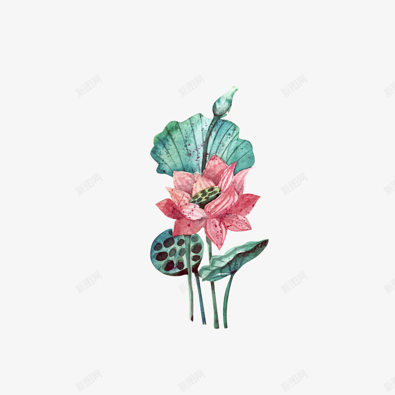 手绘植物莲花矢量图eps免抠素材_88icon https://88icon.com png免抠图 创意 手绘 时尚 植物 粉红色 莲花 鲜花 矢量图