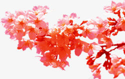 春季粉红色桃花装饰素材