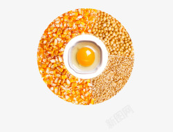 土鸡蛋营养配比素材