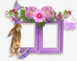兔子花叶装饰相框素材