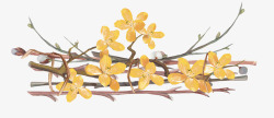 水彩藤条黄色小花装饰素材