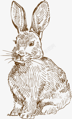兔子手绘素描素材